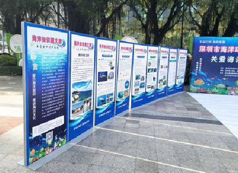 平乐KT板的种类和知识。